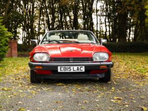 Image 17/50 of Jaguar XJS 5.3 V12 (1988)