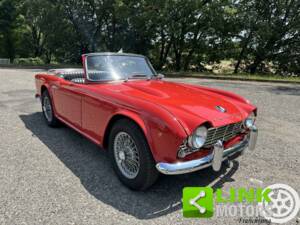 Immagine 8/10 di Triumph TR 4 (1965)