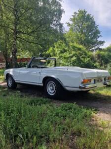 Image 3/100 de Mercedes-Benz 250 SL (1967)