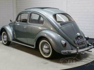 Bild 16/19 von Volkswagen Beetle 1200 Convertible (1959)