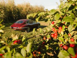 Afbeelding 49/49 van Jaguar E-Type 3.8 (1962)