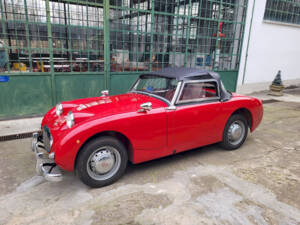 Image 27/51 of Austin-Healey Sprite Mk I (1960)