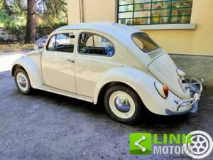 Bild 7/8 von Volkswagen Beetle 1200 Standard &quot;Dickholmer&quot; (1963)