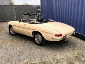 Afbeelding 6/7 van Alfa Romeo 1600 Spider Duetto (1967)