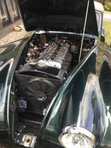 Image 6/14 de Jaguar XK 120 SE DHC (1954)