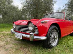 Image 23/33 of Triumph TR 4A IRS (1966)