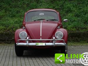 Bild 3/10 von Volkswagen Beetle 1200 A (1966)