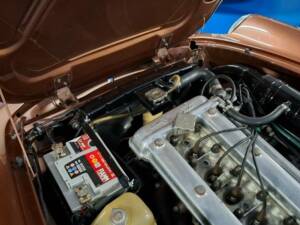 Image 14/45 of Alfa Romeo Spider Veloce 2000 (1981)