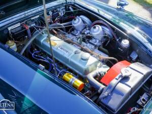 Immagine 28/44 di Austin-Healey 3000 Mk III (BJ8) (1965)