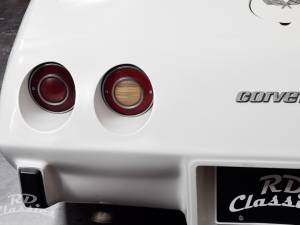 Afbeelding 37/42 van Chevrolet Corvette Sting Ray (1979)
