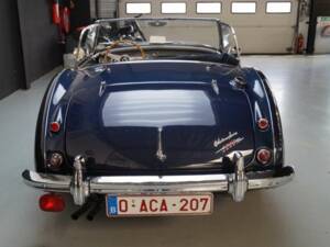 Bild 42/50 von Austin-Healey 3000 Mk II (BN7) (1961)