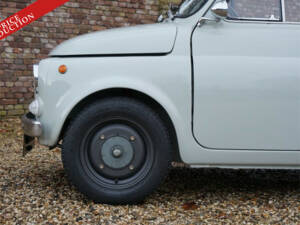 Bild 25/50 von FIAT 500 Coccinella Francis Lombardi (1969)