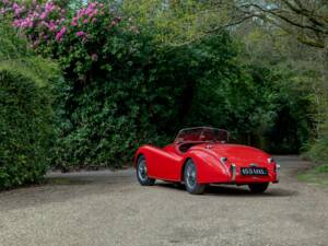 Image 17/50 of Jaguar XK 120 OTS (1950)