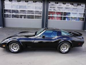 Bild 4/58 von Chevrolet Corvette Sting Ray (1979)