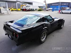 Bild 9/58 von Chevrolet Corvette Sting Ray (1979)