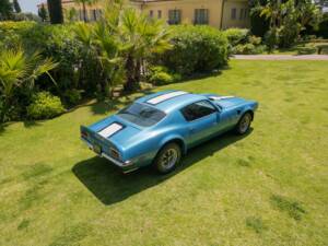 Immagine 12/13 di Pontiac Firebird TransAm (1971)