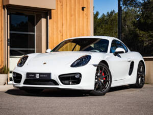 Bild 1/50 von Porsche Cayman S (2013)