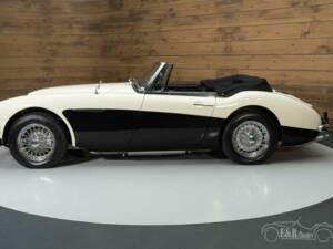 Immagine 4/19 di Austin-Healey 3000 Mk III (BJ8) (1964)