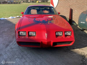 Image 7/50 of Pontiac Firebird TransAm (1982)