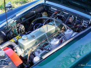 Immagine 32/44 di Austin-Healey 3000 Mk III (BJ8) (1965)