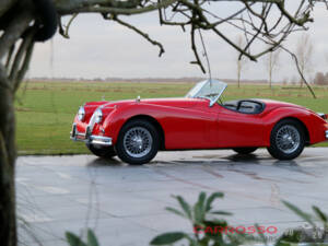 Bild 6/50 von Jaguar XK 140 OTS (1956)