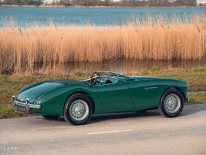 Imagen 8/17 de Austin-Healey 100&#x2F;4 (BN1) (1954)