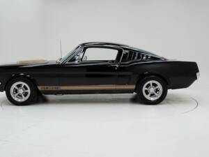 Bild 8/15 von Ford Shelby GT 350 (1965)