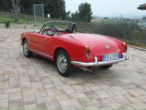 Bild 9/57 von Alfa Romeo Giulietta Spider (1961)