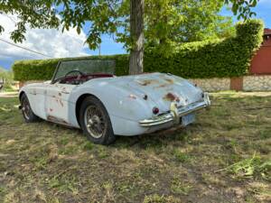 Bild 6/19 von Austin-Healey 3000 Mk I (BN7) (1960)