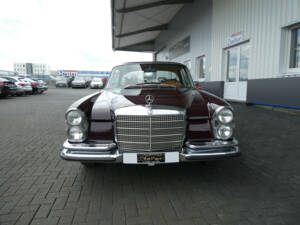 Immagine 2/22 di Mercedes-Benz 280 SE 3,5 (1971)