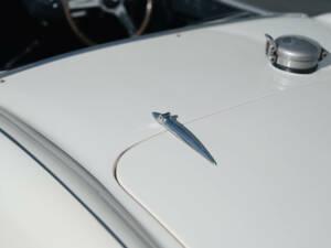 Image 24/50 of Austin-Healey 100 S (1955)