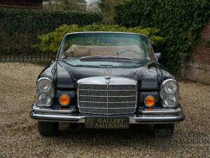 Image 25/50 of Mercedes-Benz 280 SE 3,5 (1971)