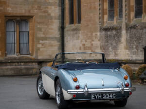 Afbeelding 6/29 van Austin-Healey 3000 Mk III (BJ8) (1965)