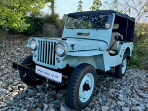 Afbeelding 1/28 van Willys-Overland CJ-3A (1954)