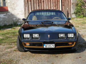 Image 6/69 of Pontiac Firebird TransAm (1979)