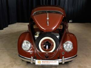Bild 3/86 von Volkswagen Beetle 1100 Export (Brezel) (1951)