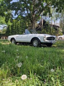 Image 7/100 de Mercedes-Benz 250 SL (1967)