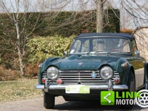 Immagine 3/10 di Triumph TR 4 (1965)