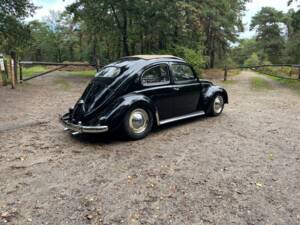 Image 17/26 of Volkswagen Beetle 1200 Standard &quot;Oval&quot; (1954)