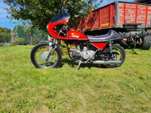 Bild 5/33 von Aermacchi Harley-Davidson DUMMY (1973)