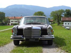 Afbeelding 3/19 van Mercedes-Benz 280 SE 3,5 (1971)