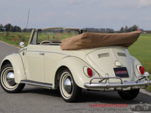 Image 34/50 de Volkswagen Coccinelle 1200 (1963)