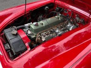 Image 14/21 of Austin-Healey 3000 Mk II (BN7) (1962)