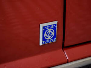 Image 39/50 de Triumph TR 6 (1974)