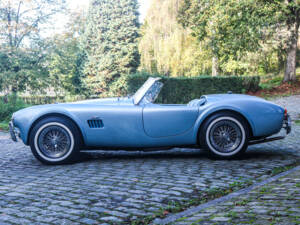 Bild 9/22 von AC Cobra 289 (1964)