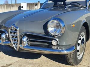 Image 18/50 of Alfa Romeo Giulietta Spider (1959)