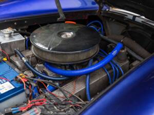 Bild 5/50 von AC Cobra 289 (1997)