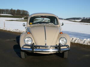 Image 15/65 of Volkswagen Beetle 1200 (1967)