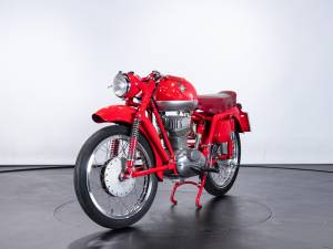 Image 6/42 de MV Agusta DUMMY (1955)