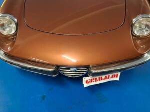 Image 43/45 of Alfa Romeo Spider Veloce 2000 (1981)